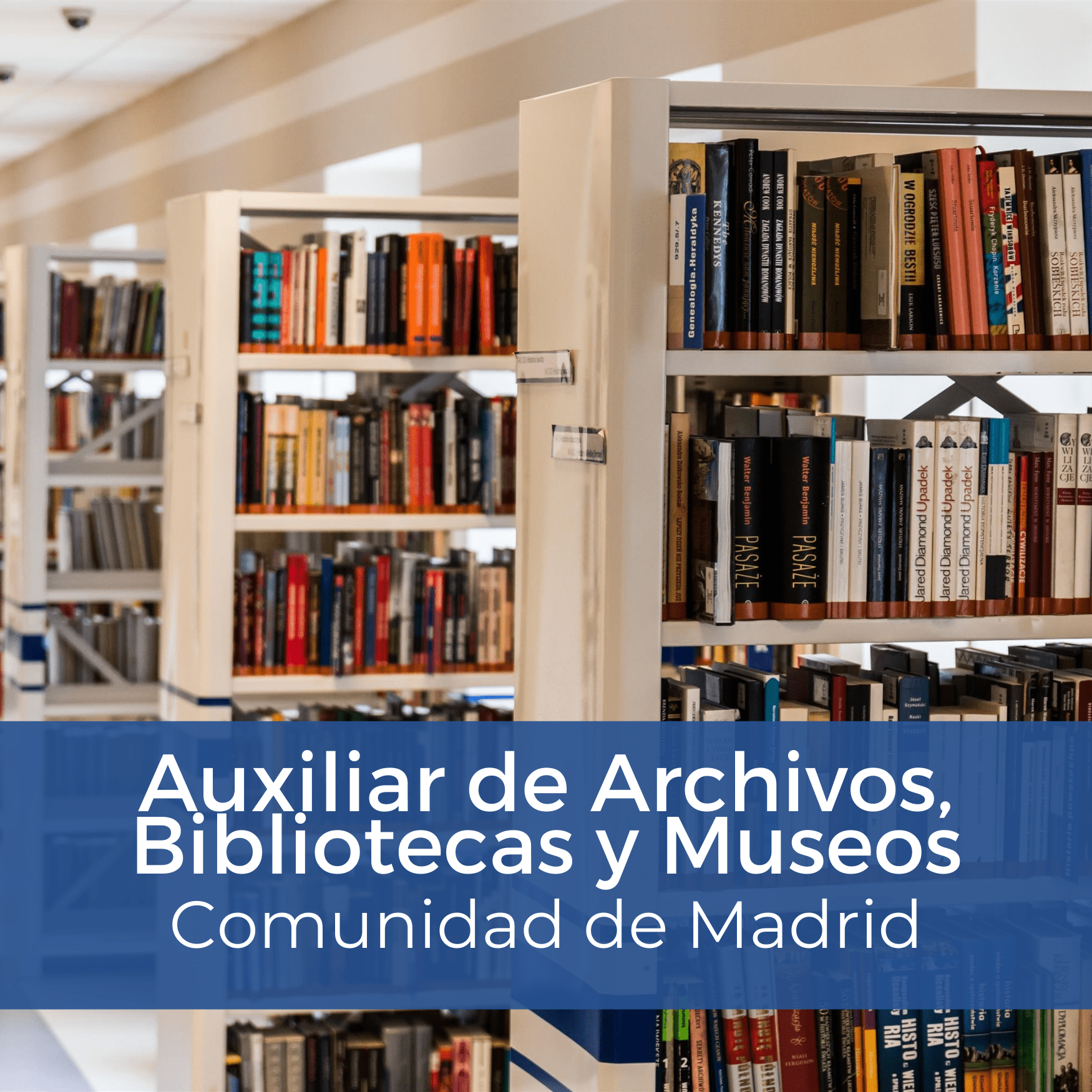 Auxiliar Archivos y Museos de la Comunidad de