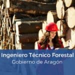 Oposición Ingeniero Técnico Forestal Aragón