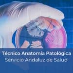 Oposición Técnico Anatomía Patológica SAS Andalucía