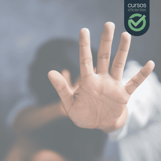 Curso Violencia de Género