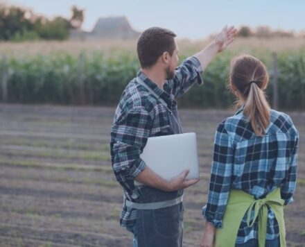 INGENIERO TECNICO AGRICOLA (ITA) ARAGÓN