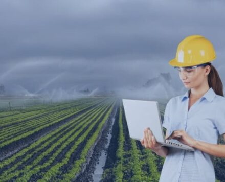 INGENIEROS AGRONOMOS DEL ESTADO