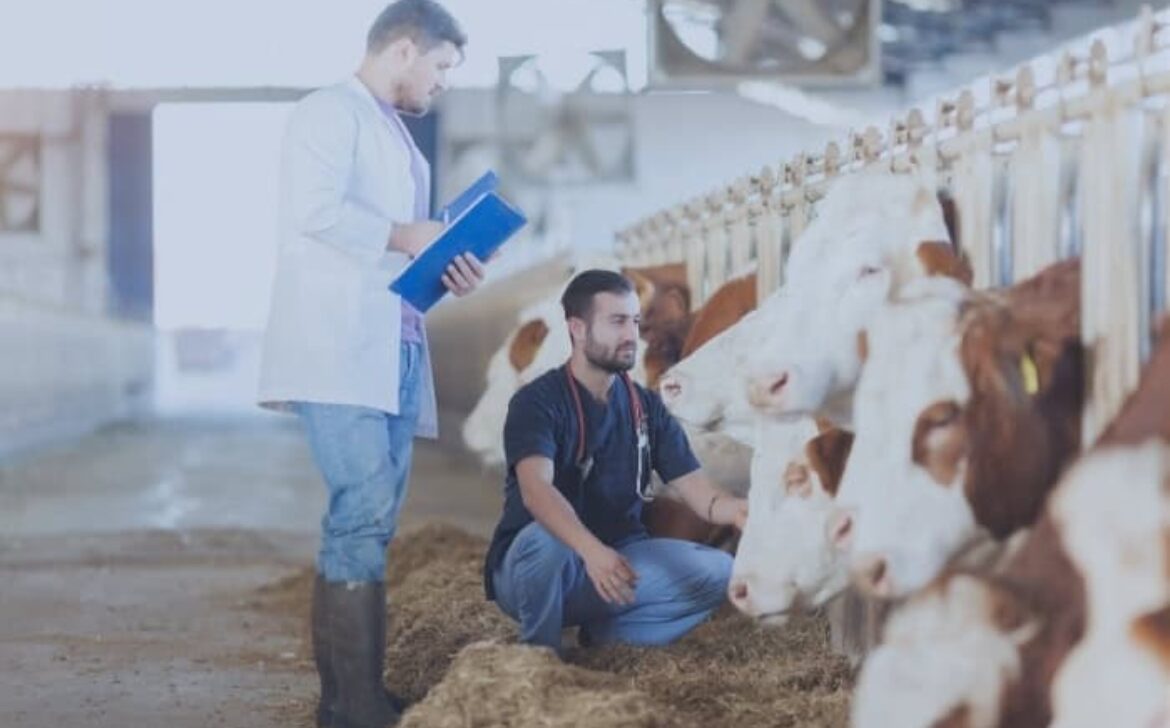 VETERINARIO Y CUERPO NACIONAL VETERINARIO ESTADO