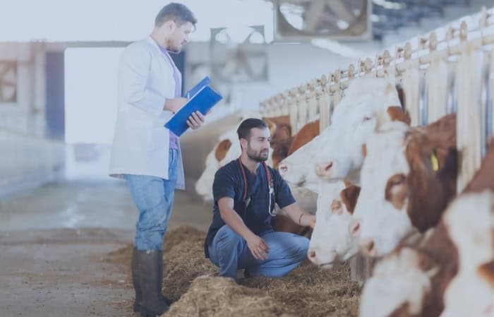 VETERINARIO Y CUERPO NACIONAL VETERINARIO ESTADO